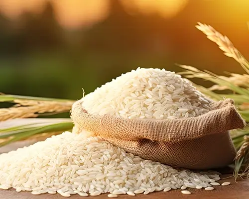 Rice Image